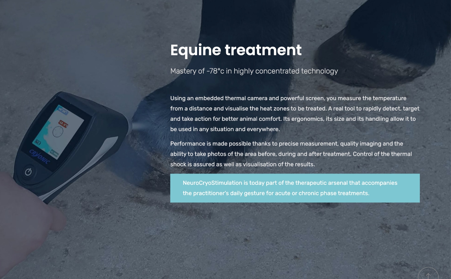 Equine_Treatment_Temp_2